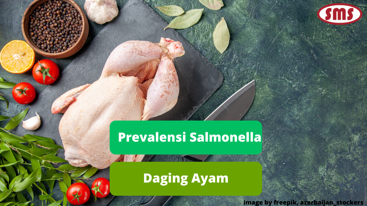 Inilah Ulasan Terkait Prevalensi Salmonella Daging Ayam Di Indonesia